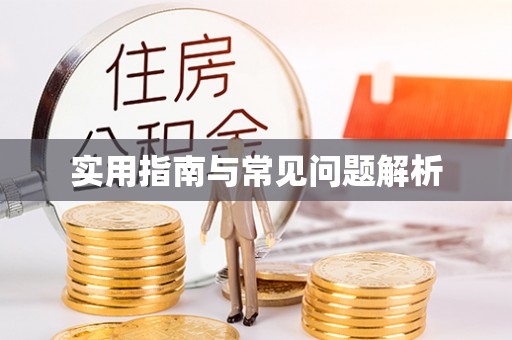 梅州实用指南与常见问题解析